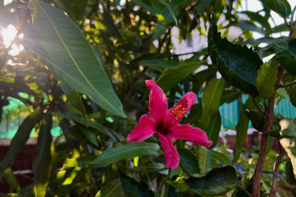 Valecha Villa Entire 4Bhkbunglow With 5000 Sq Ft Garden Lonavala Esterno foto